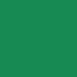 WOMEN'S ADULT - BIG J - T-SHIRT - KELLY GREEN - $PL37EY$ Design